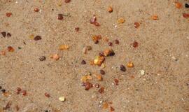 Palangoje - Gintarinės grundalinės