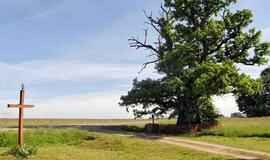 Savaitgalis su šeima. Ką dar aplankyti Lietuvoje?