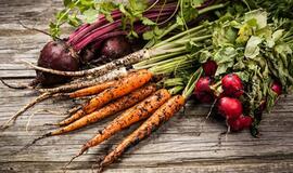 Patarimai apie sodą ir maistą