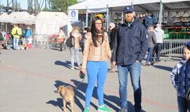 Džiazuojančių klaipėdiečių žvarbus oras neatbaidė