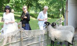 "Pirties diena 2017"