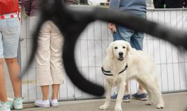 Lietuvos dviračių plento čempionatas Gargžduose