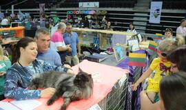 "Baltic winner show"