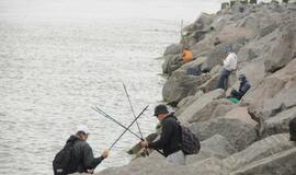 Šventėje laukiama daugiau nei pusės milijono svečių