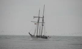 Šventėje laukiama daugiau nei pusės milijono svečių