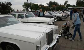 Nidos aerodrome "nutūpė" klasikiniai automobiliai