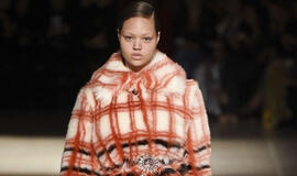 2017 m. ruduo - 2018 m. žiema. Artėjančio sezono spalvos