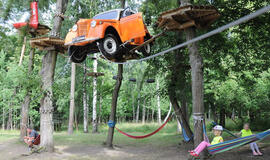 Ar kenkia automobilis medyje?