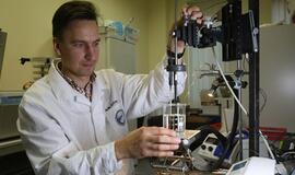 Siekia nustatyti, kas lemia Kuršių marių žydėjimą