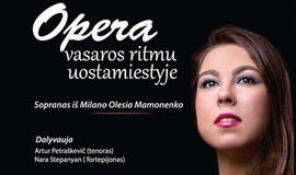 Koncertas - "Opera vasaros ritmu uostamiestyje"