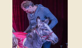 Pajūryje prisikels legendinė opera "Pajacai"