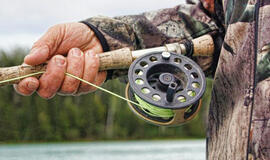 Per Žolinę žvejokite nemokamai