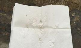 Muitininkai Klaipėdoje sulaikė 600 kilogramų kokaino siuntą