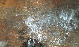 Muitininkai Klaipėdoje sulaikė 600 kilogramų kokaino siuntą