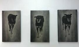 Parodoje „Kasdienybės portretai“ – dėmesys katėms ir šunims