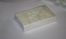 Muitininkai Klaipėdoje sulaikė 600 kilogramų kokaino siuntą