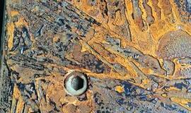 Muitininkai Klaipėdoje sulaikė 600 kilogramų kokaino siuntą