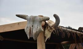 Jono kalnelio sala virto archajiškos fiestos vieta