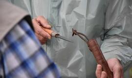 Jono kalnelio sala virto archajiškos fiestos vieta