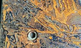 Muitininkai Klaipėdoje sulaikė 600 kilogramų kokaino siuntą