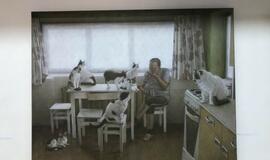 Parodoje „Kasdienybės portretai“ – dėmesys katėms ir šunims