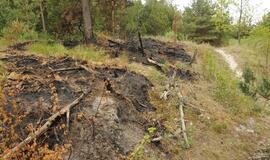 Gaisras prie jūros Melnragėje