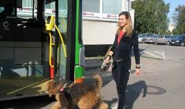 Ir susirinko klaipėdiečiai ant Žardės piliakalnio...