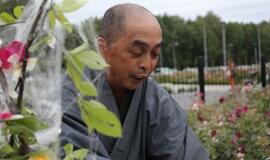 Klaipėdiečiai sėmėsi japonų kultūros