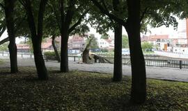 Vėjas pridarė nuostolių