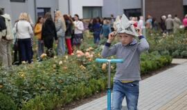 Klaipėdiečiai sėmėsi japonų kultūros