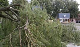 Vėjas pridarė nuostolių