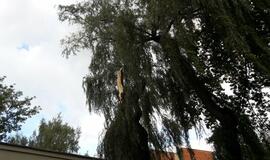 Vėjas pridarė nuostolių