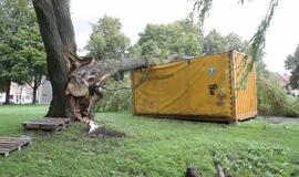 Vėjas pridarė nuostolių