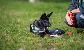 Klaipėdos policijos gretas papildė Koda ir Luna
