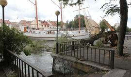 Vėjas pridarė nuostolių