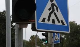 Lenktynės autobusu, automobiliu, elektriniu automobiliu ir dviračiu