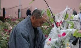 Klaipėdiečiai sėmėsi japonų kultūros