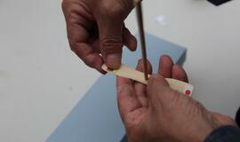 Klaipėdiečiai sėmėsi japonų kultūros