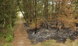 Gaisras prie jūros Melnragėje