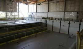 Klaipėdos baseinas iš vidaus