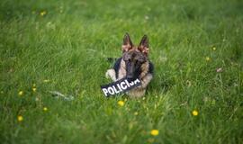 Klaipėdos policijos gretas papildė Koda ir Luna