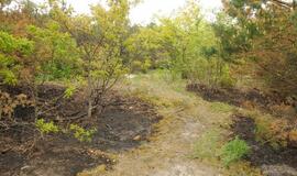 Gaisras prie jūros Melnragėje