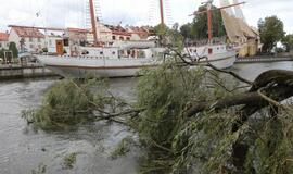 Vėjas pridarė nuostolių