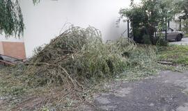 Vėjas pridarė nuostolių