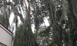 Vėjas pridarė nuostolių