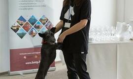 Klaipėdoje atidarytos Pilies dirbtuvės