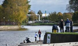 "Žemaičių taurė 2017"