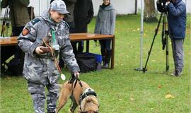 Tarptautinėse varžybose - klaipėdiečių triumfas!