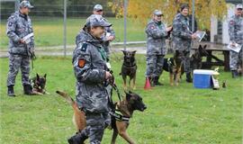 Tarptautinėse varžybose - klaipėdiečių triumfas!