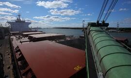 Pritraukti užsienio grūdų į uostą padėtų fabrikai